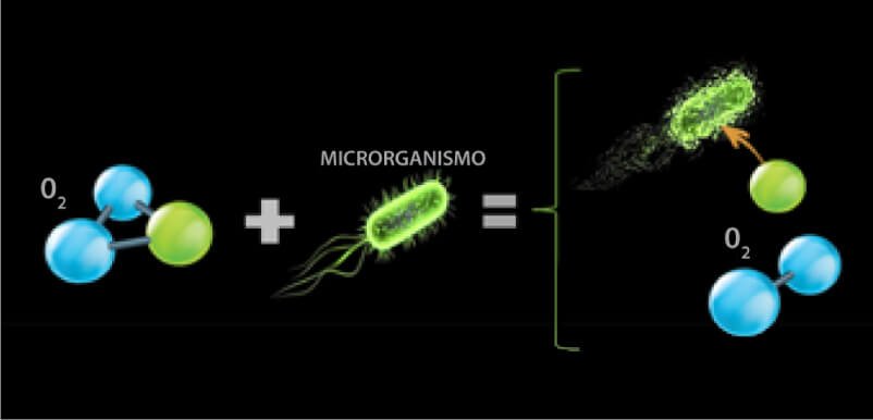 Como o ozônio age em microrganismos Como o ozônio age em microrganismos