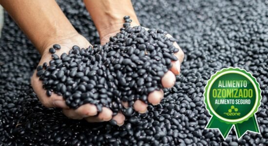 Alimento Ozonizado alimento seguro selo myOZONE