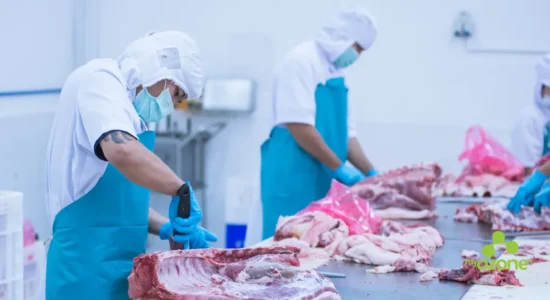 Aplicação-do-ozônio-em-carnes