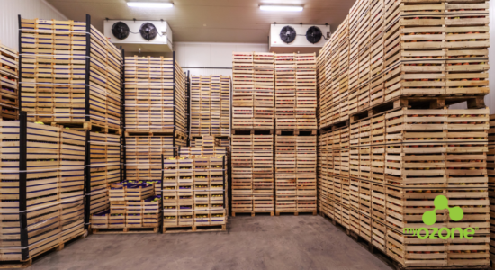 Atmosfera controlada em alimentos com ozônio gasoso