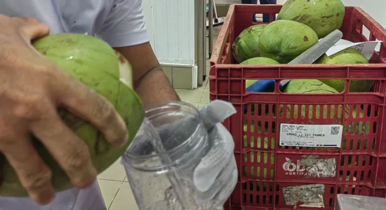 Pasteurização-de-água-de-coco-com-uso-do-ozônio